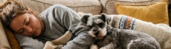 razas de perros tranquilos